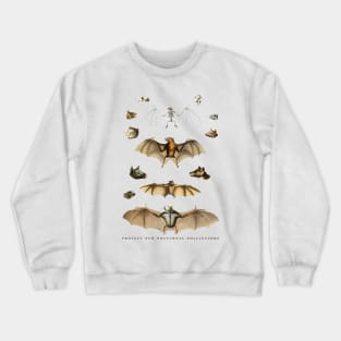 Protect our Nocturnal Pollinators Bat Lover Chiropterologist Gift Crewneck Sweatshirt